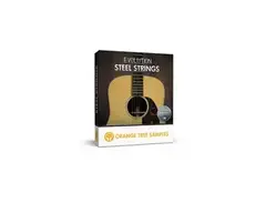 Orange Tree Samples Evolution® Steel Strings main image