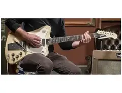 Gibson Firebird VII 1965 main image