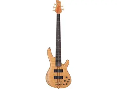 Yamaha TRB5PII