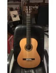 Mario Grimaldi's Classic Guitar