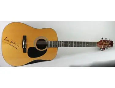 Takamine Don Henley Signature Model Dreadnaught