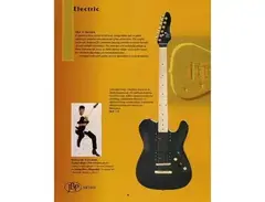 JB Player Artist Series Telecaster main image