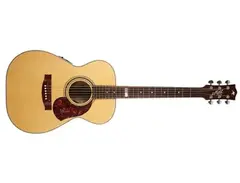 Maton 808TE main image
