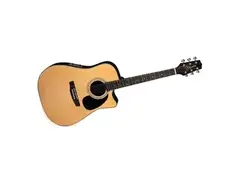 Takamine EG530C main image
