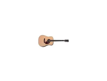 Larrivée Guitars D-60