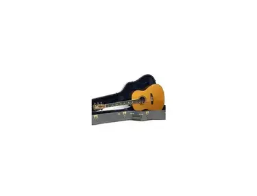 Larrivée Guitars L-19