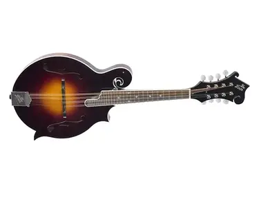 The Loar LM-520