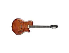 Godin Multiac Jazz SA