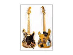 Steve Vai's Fender Stratocaster
