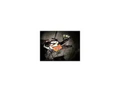 Gibson Thunderbird 1976
