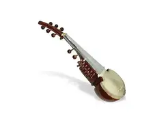 Sarod main image