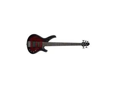 Cort Arona Sandberg 5string Bass