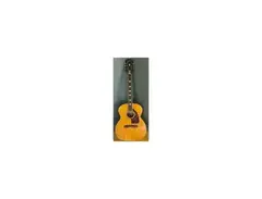 Epiphone FT110  1951 main image