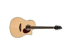 Breedlove Atlas Stage D25/SRE