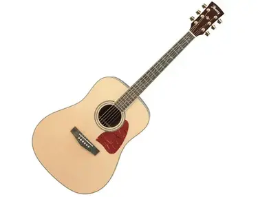 Ibanez AW40