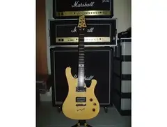 Schecter Terry Corso