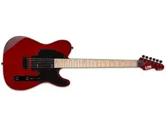 ESP Guitars LTD TE-200