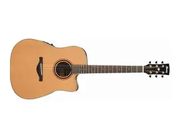 Ibanez Artwood AW250ECE