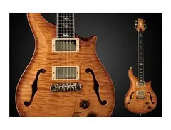 PRS Dweezil Zappa Signature Model Semi-Hollow main image