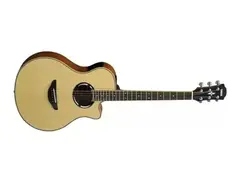 Yamaha APX500III