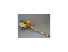 African Bass Harp