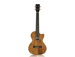 Cordoba 25TK-CE