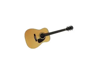Fender DG-7