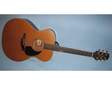 Takamine EN20 - Jumbo
