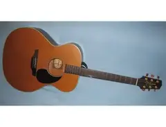 Takamine EN20 - Jumbo