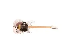 Washburn SS100 main image