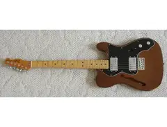 m*t様 ◆Fender USA Telecaster Thinline◆197 fender american 1974 thinline telecaster - What To Know & Where To