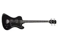 Krist Novoselic Signature RD Bass