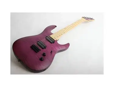 Legator CS 300 Pro 7 String