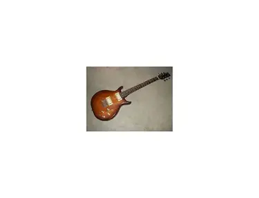 Washburn raven