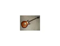 Washburn raven main image