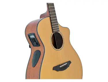 Breedlove Solo Concert