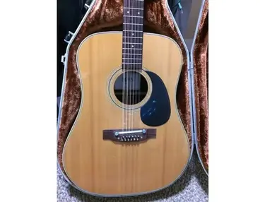 1970's CF Martin Cigma DR-12