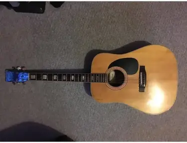 Angelica Acoustic 6810