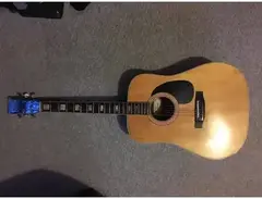 Angelica Acoustic 6810