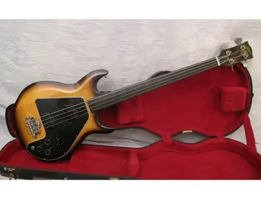 Gibson Ripper L9s FL