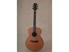 Olson Guitars James Taylor Signature
