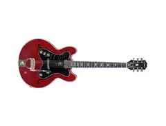 Epiphone Professional main image
