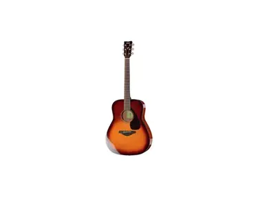 Yamaha FG800 BS