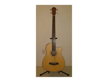 Ibanez AEB5E Acoustic Bass
