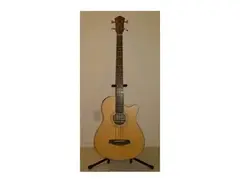 Ibanez AEB5E Acoustic Bass main image