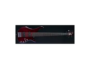 Vigier Arpege 5-String Bass