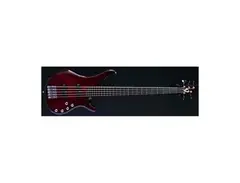 Vigier Arpege 5-String Bass