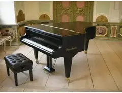Bösendorfer Model 220 main image