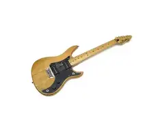 Peavey Patriot