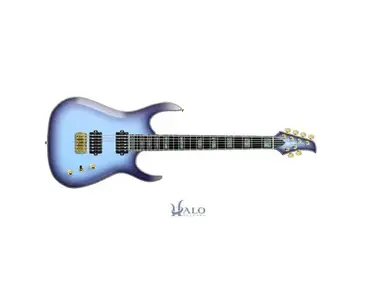 Halo Danny the Husky Custom Guitar "The Husky"